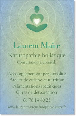 carte de visite de Laurent Maire carte de visite de Laurent Maire