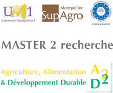 Logo de l'Université de Montellier 1 Logo de l'Université de Montellier 1